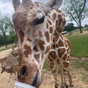 Meet your Posher, Emma